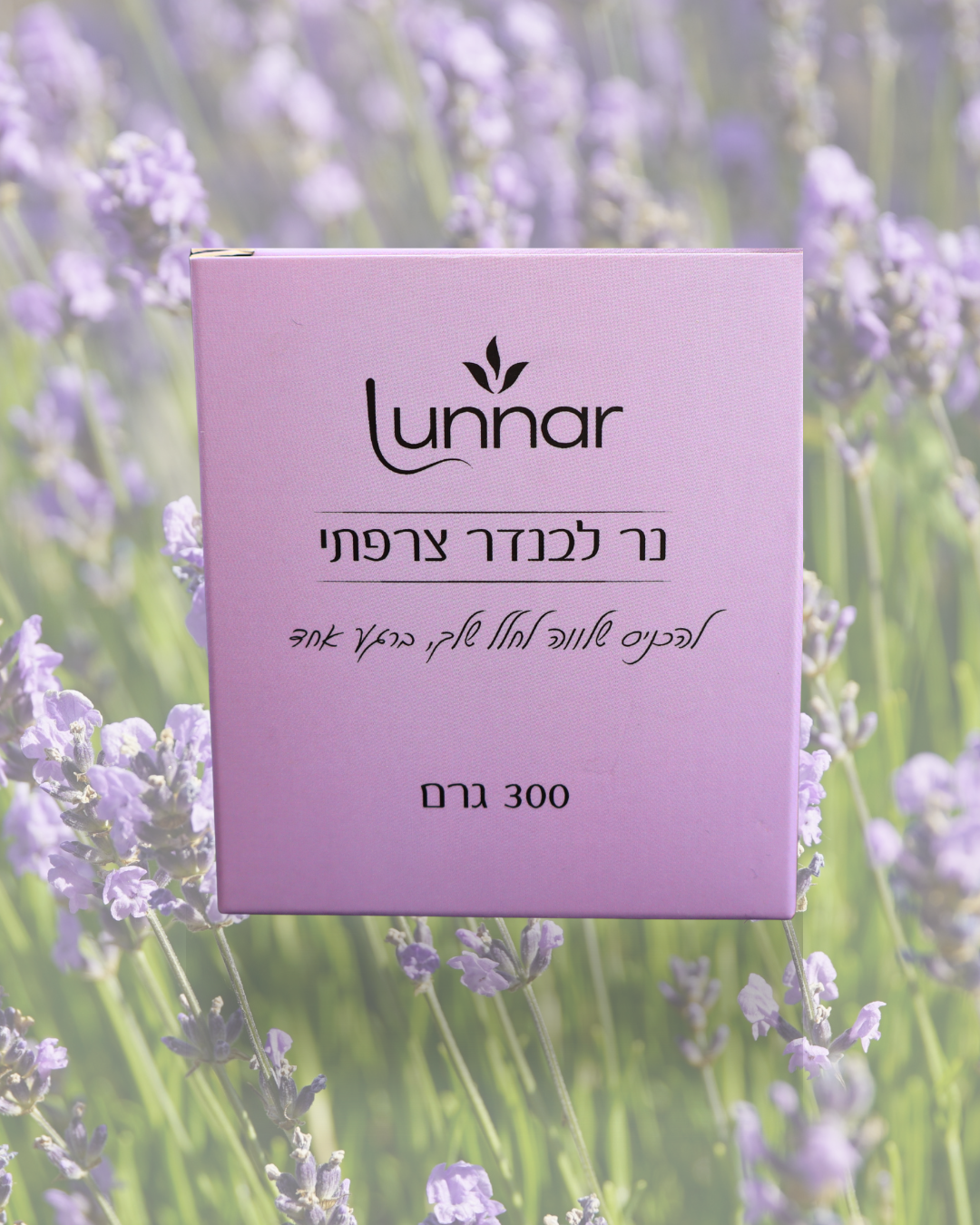 (300g) לבנדר - CALM נר