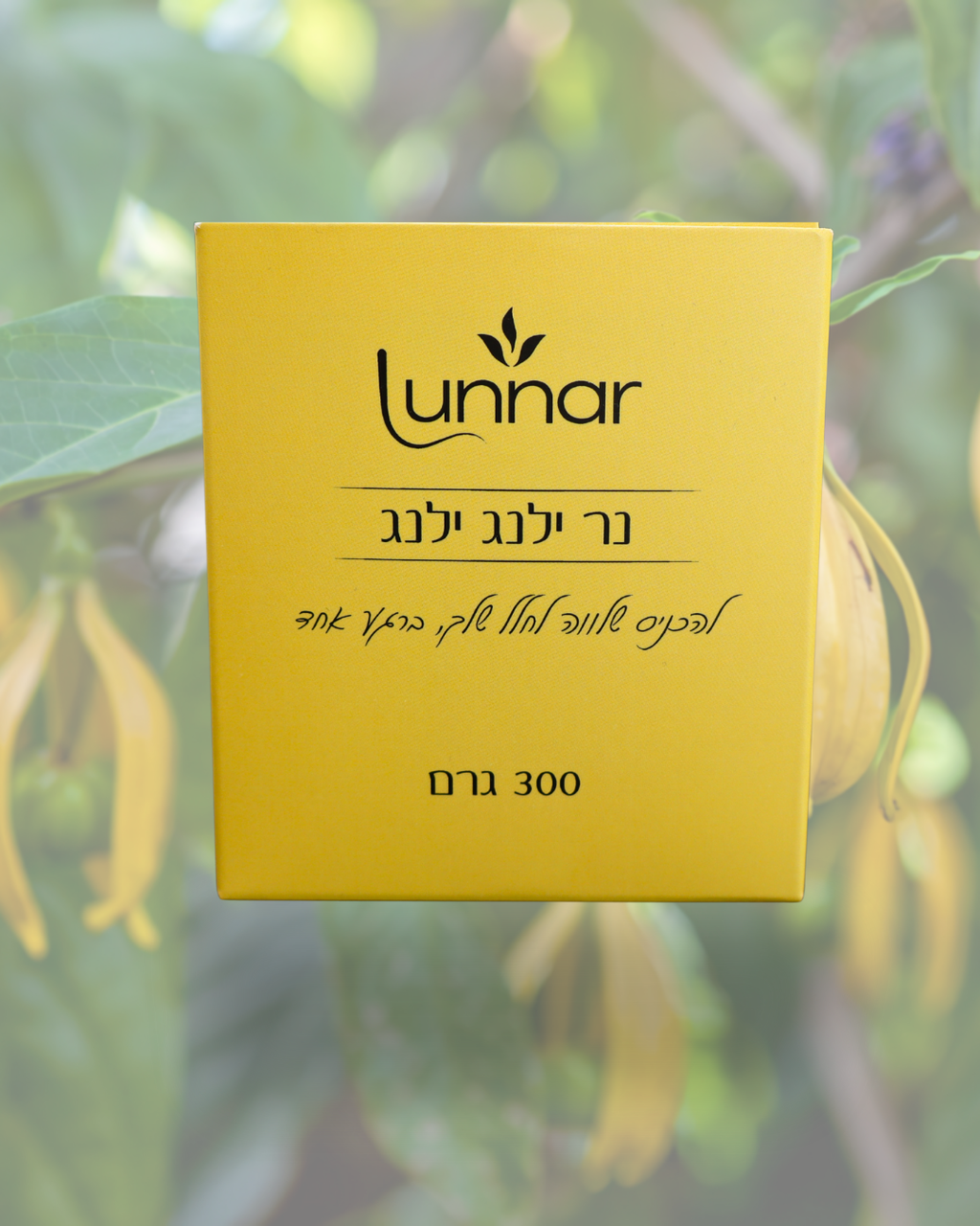 (300g) ילנג ילנג - BALANCE נר