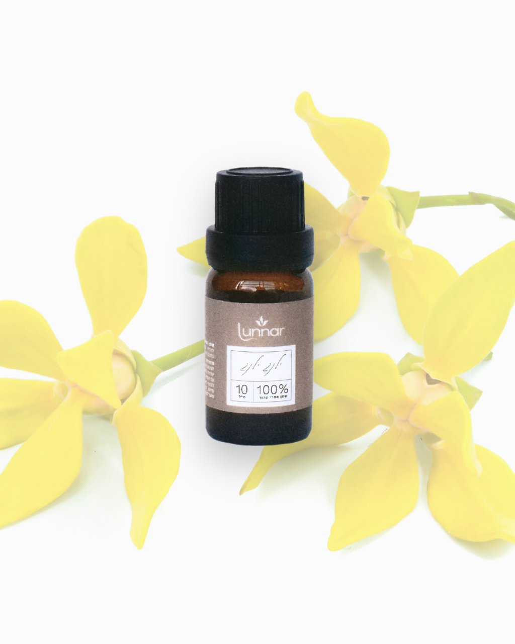 (10ml) BALANCE שמן