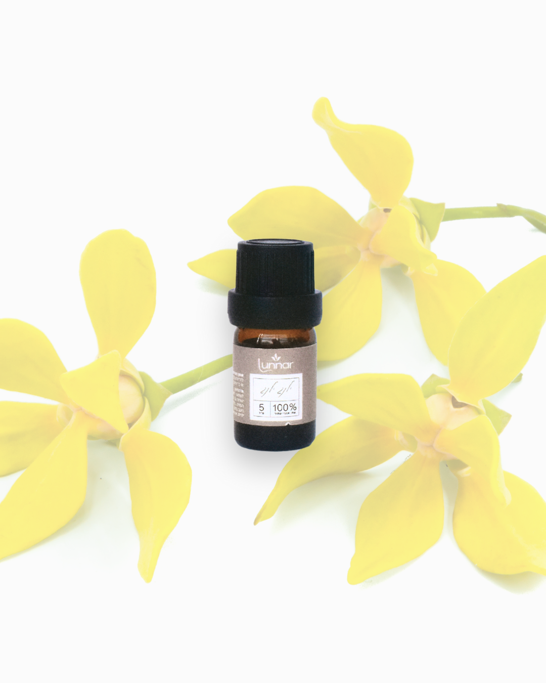 (5ml) BALANCE שמן